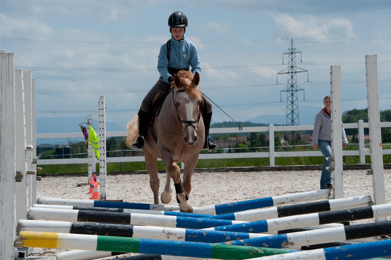 DSC_9339 (Large).jpg